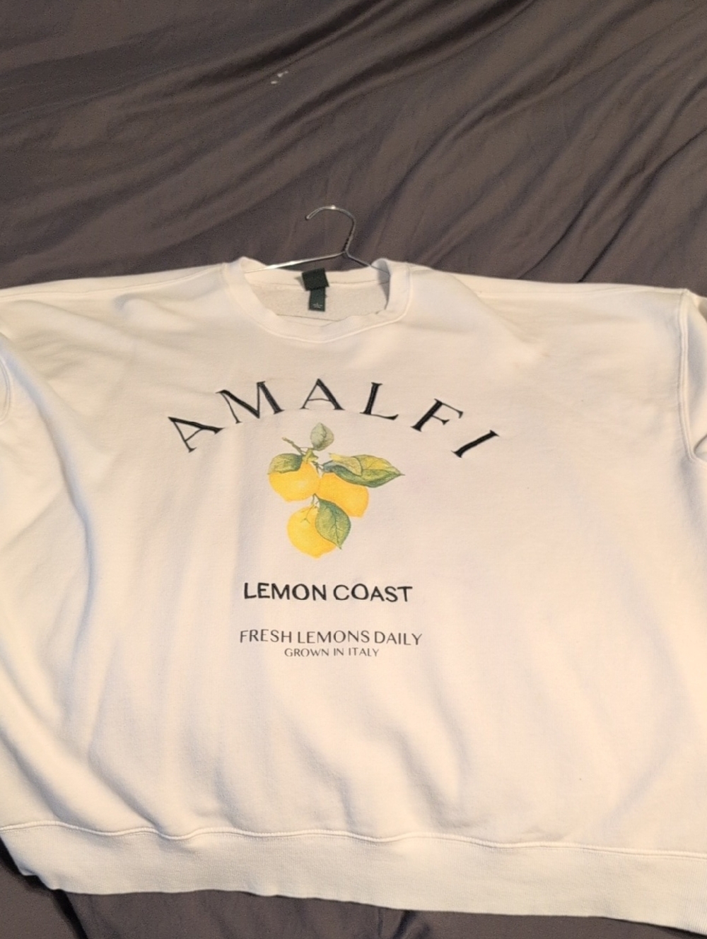 wild fable Oversized Amalfi Coast Crew neck